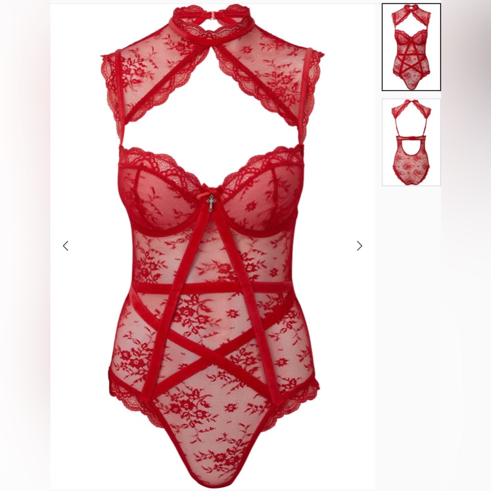 Dark Desire Lace Bodysuit